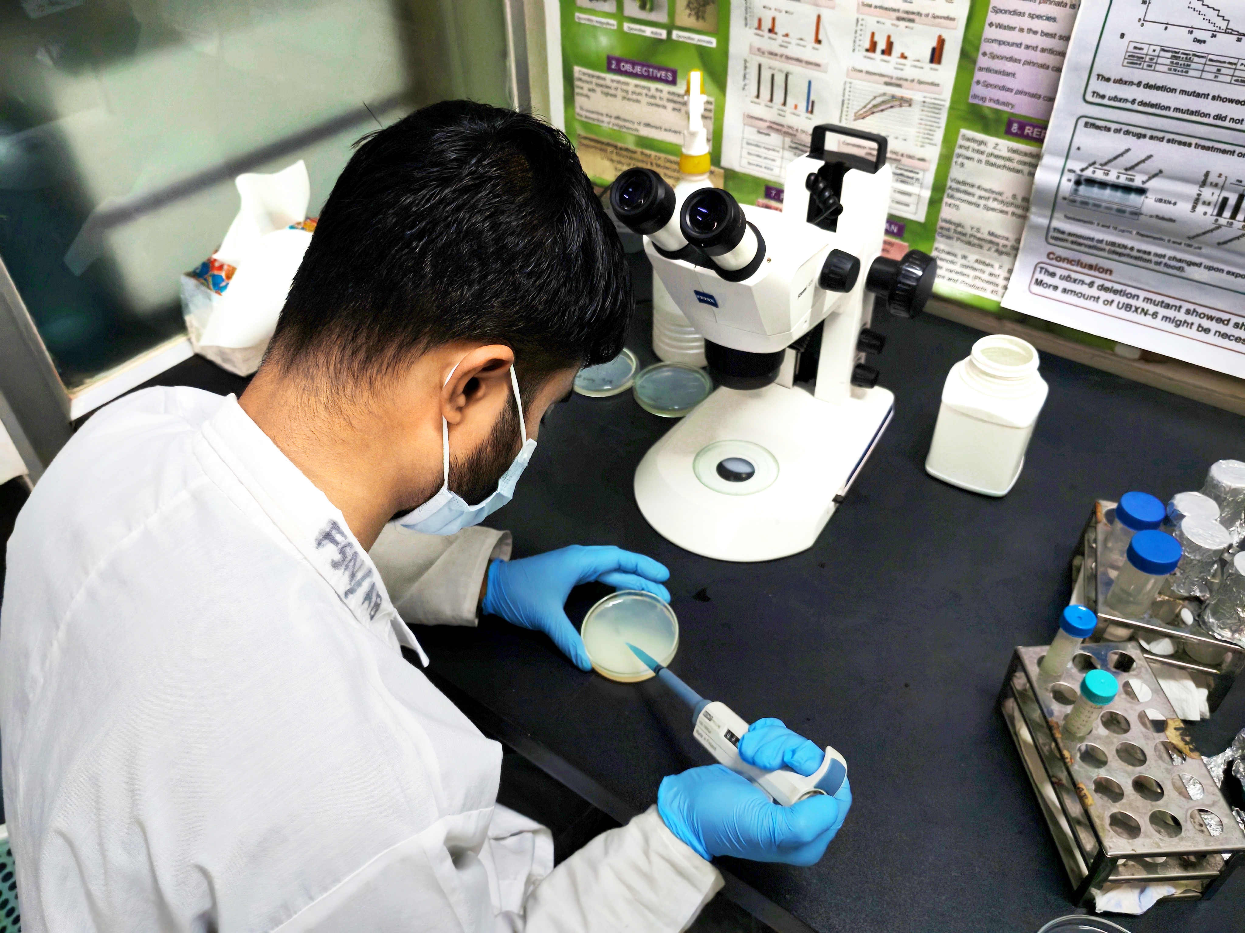 Laboratory experiment